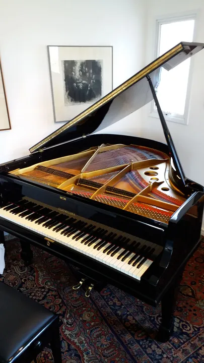 Piano de cauda Essenfelder n Steinway Yamaha Fritz Calda joia imbuia