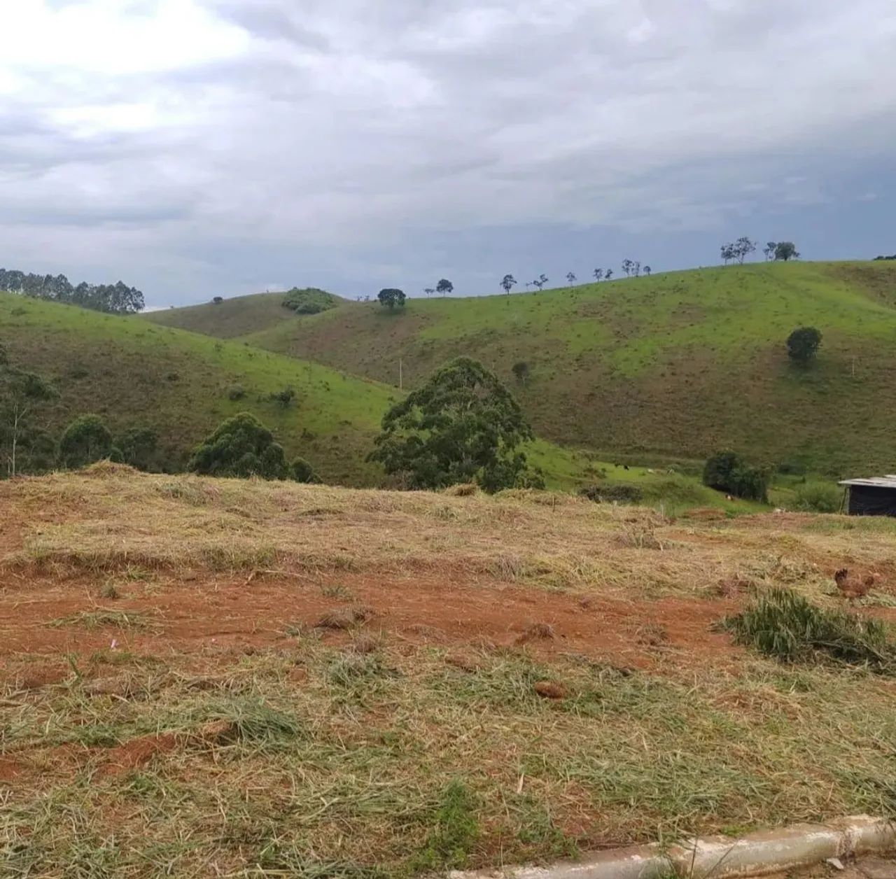 Lotes em Chácara - MG - Oportunidade (Prontos para construir) - Foto 5