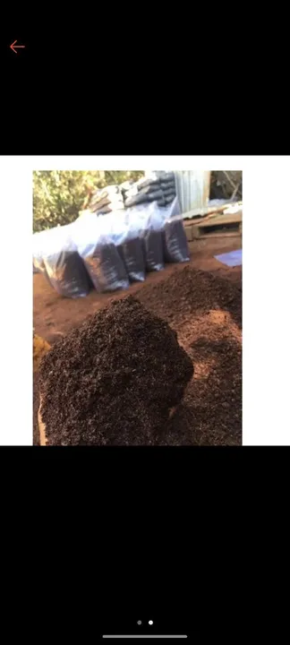Adubo para planta!