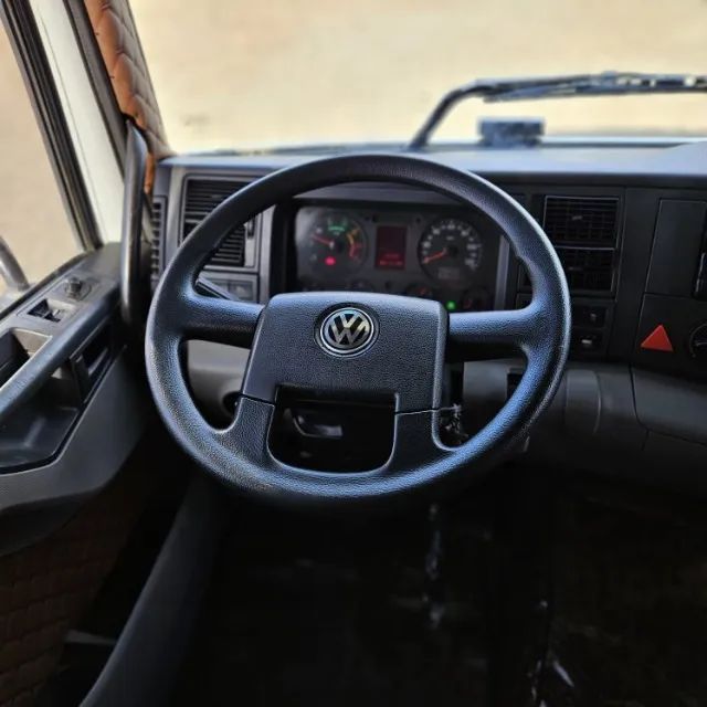 Constellation 24250 com Munck TKA 45,7 - Foto 6