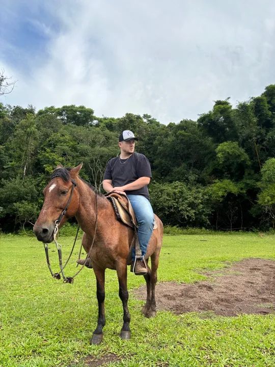 Cavalo para venda - Foto 3