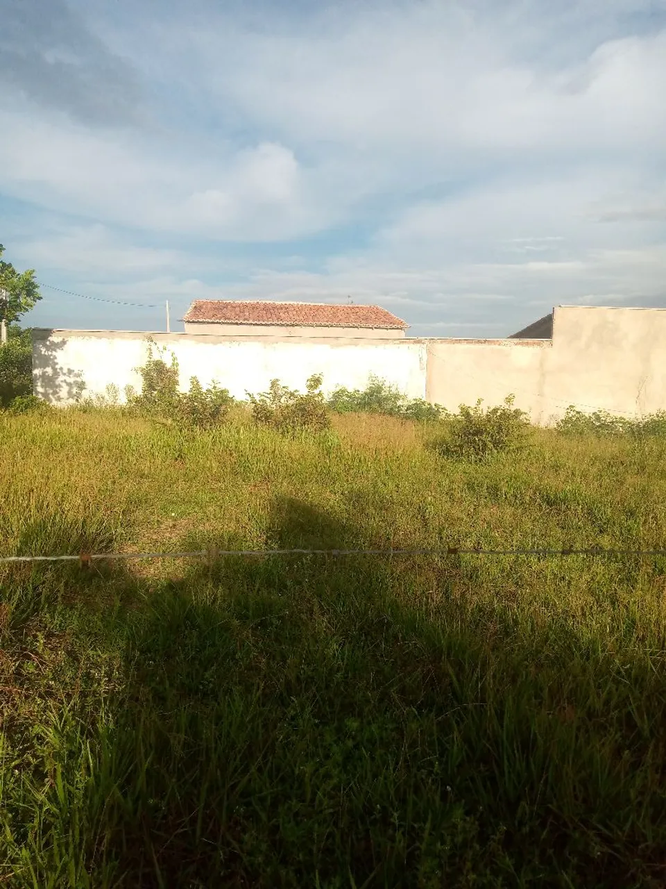 Terreno