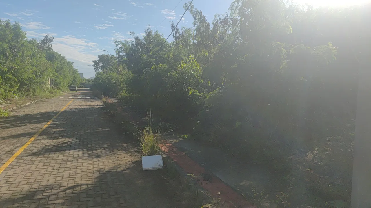 5 lotes juntos no Pontal das Garças 