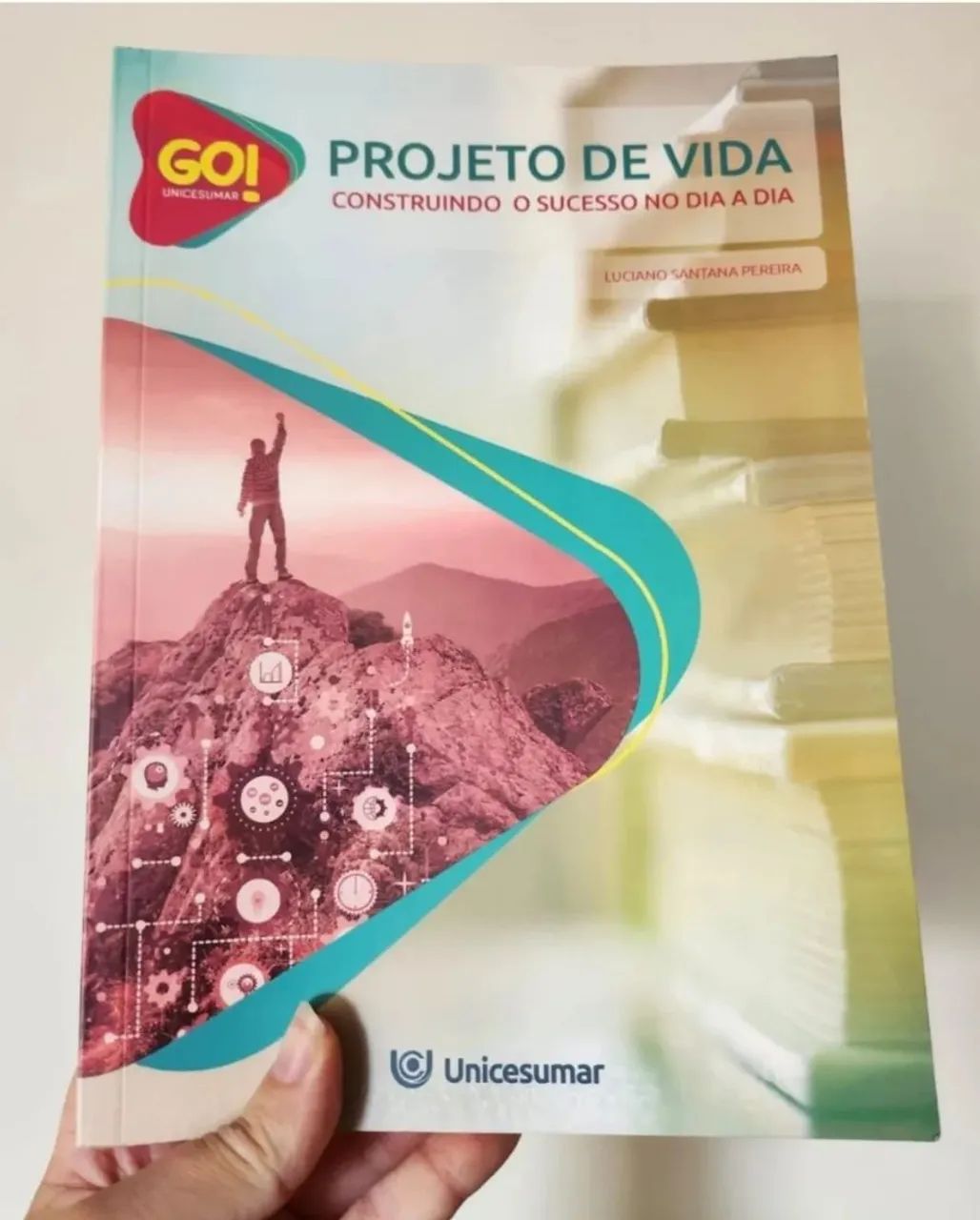 livro projeto de vida construindo o sucesso no dia a dia