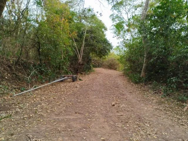Pesqueiro 1000m². Troca por casa, aceita carro. - Foto 3