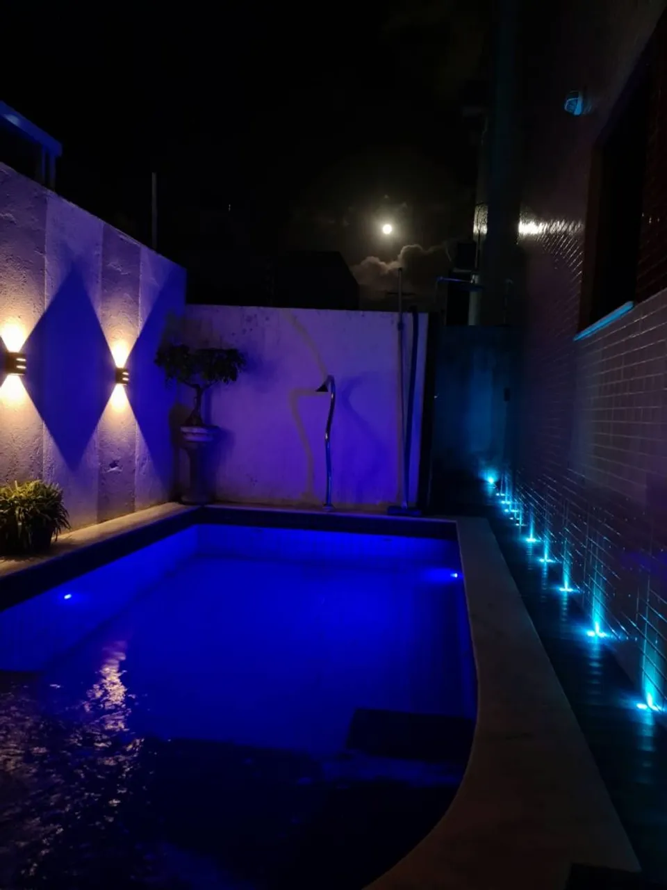 Apartamento terreo