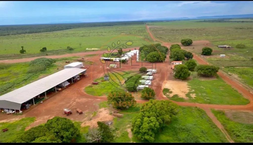 MARAVILHOSA FAZENDA EM CONFRESA - MT COM 35.000 HECTARES FA00262 - Foto 2