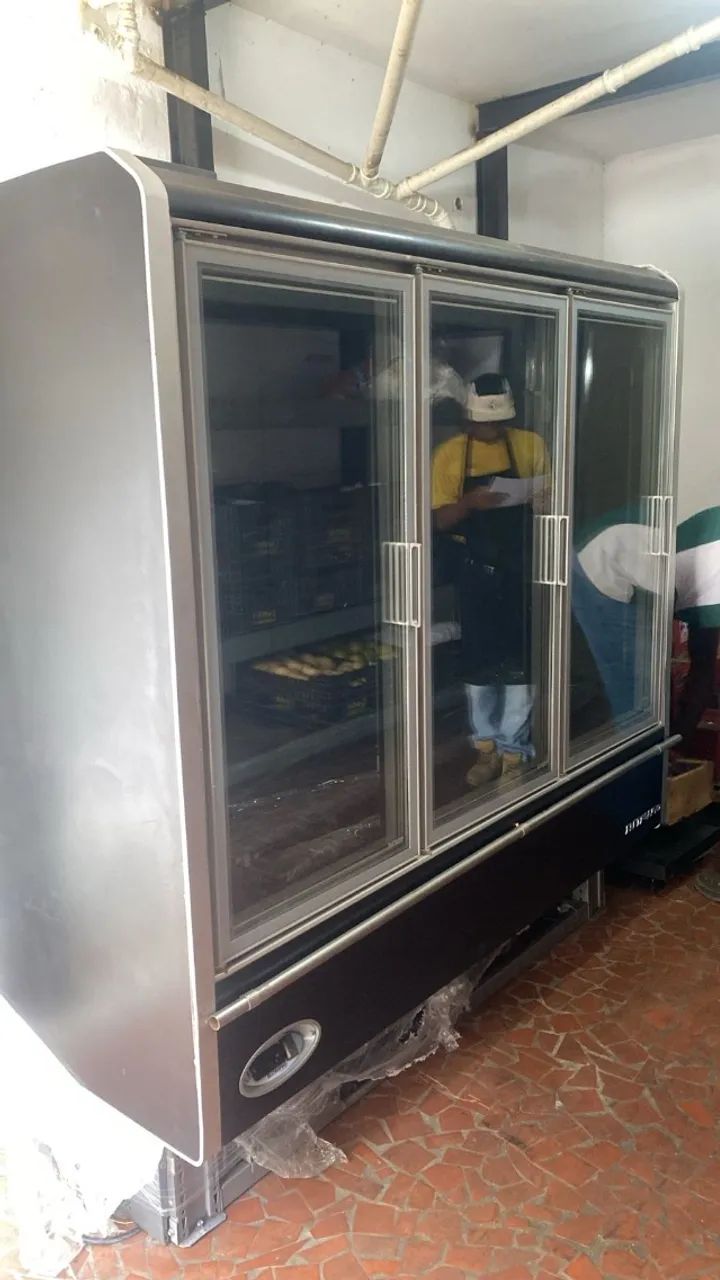 frizer eletrofrio comercial