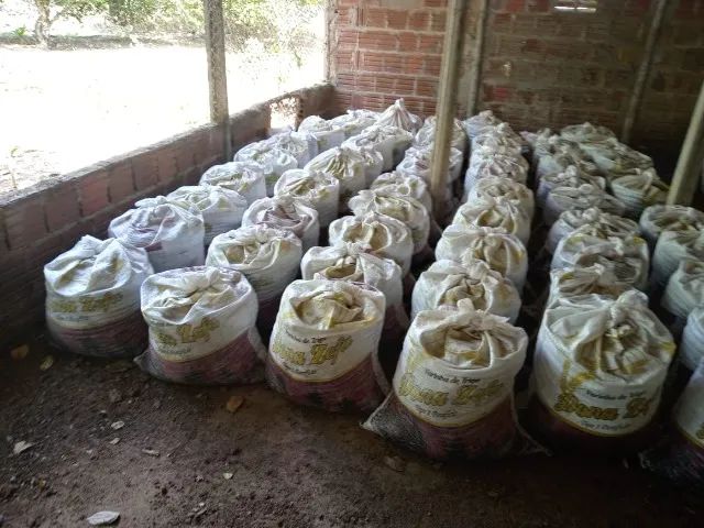 Adubo de Galinha / Cama de Frango / Esterco de Galinha / Adubo de Frango / Adubo Orgânico  - Foto 6