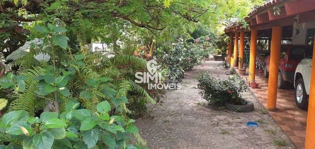EXCELENTE CHACARA EM ABREULANDIA COM 10 ALQUEIRES! - Foto 4