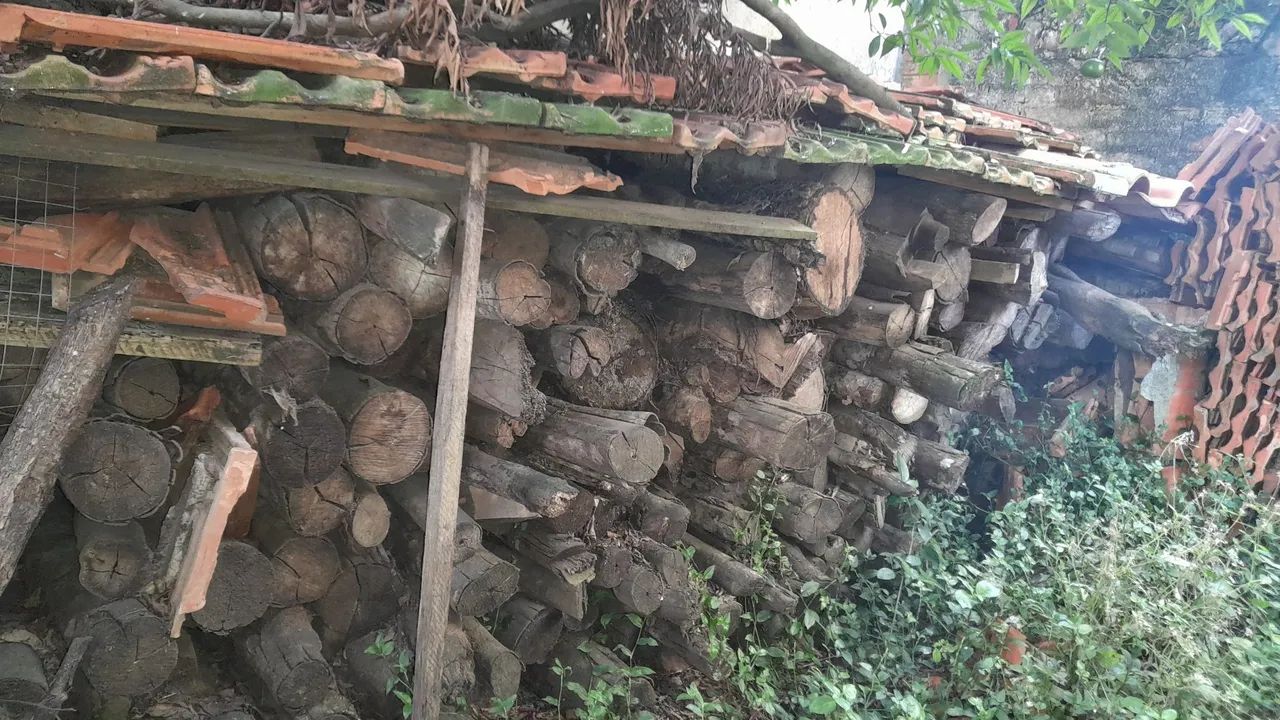 Lenha para churrasco, fogão ou forno - Foto 2