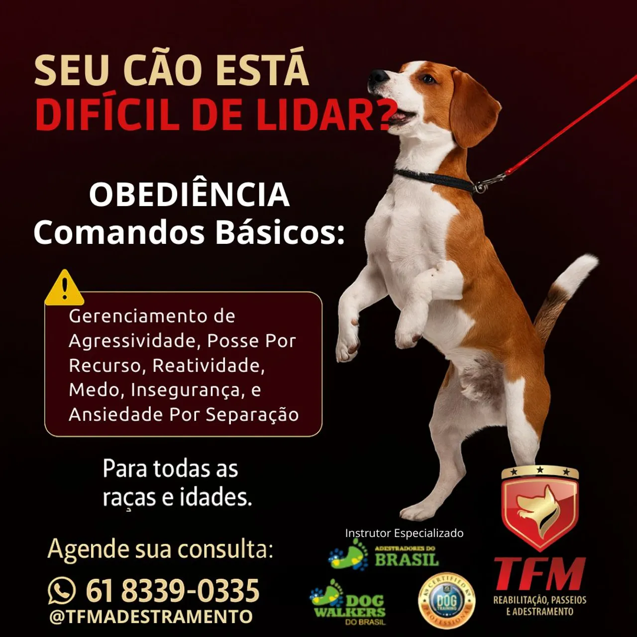 Adestramento para Cães: Obediência e Solução de Problemas