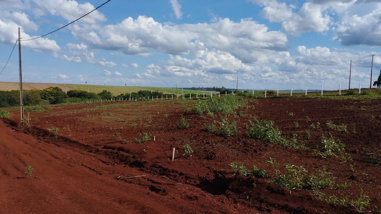 Chácara 1.000m2,tem água e luz, em Floresta-Pr
