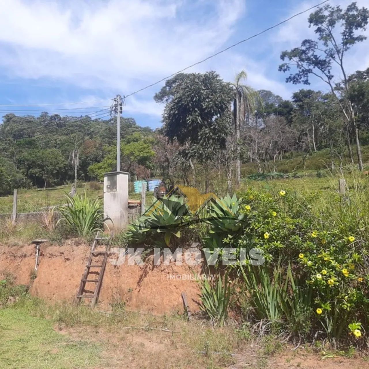 Fazenda de 20 hectares em Mateus Leme  - Foto 2