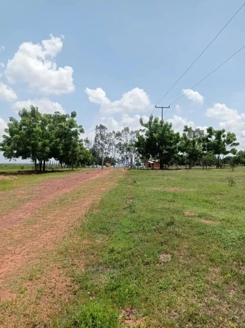 Fazenda para Venda em Balsas, 000