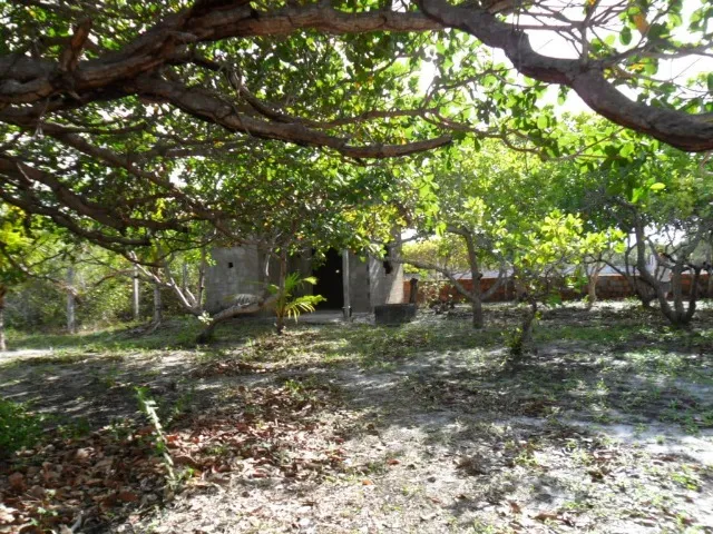 LOTE NA PARADA ENTRE PÉ CEM E TAÍBA