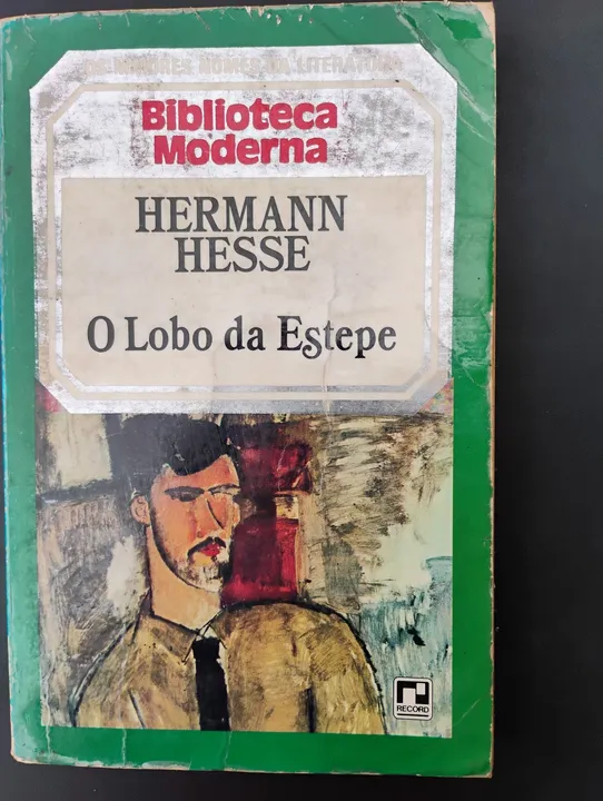 Livro O Lobo da Estepe - Hermann Hesse