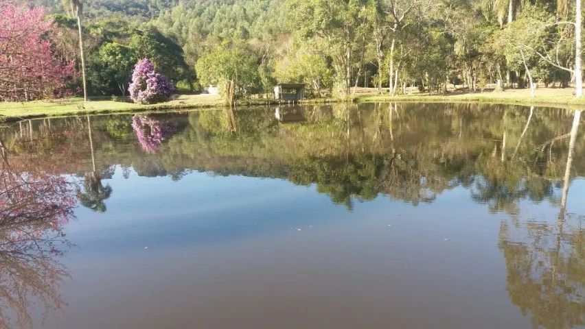 Alugo sitio Ibiuna/ casa sede com piscina e lagos ideais para pesqueiro
