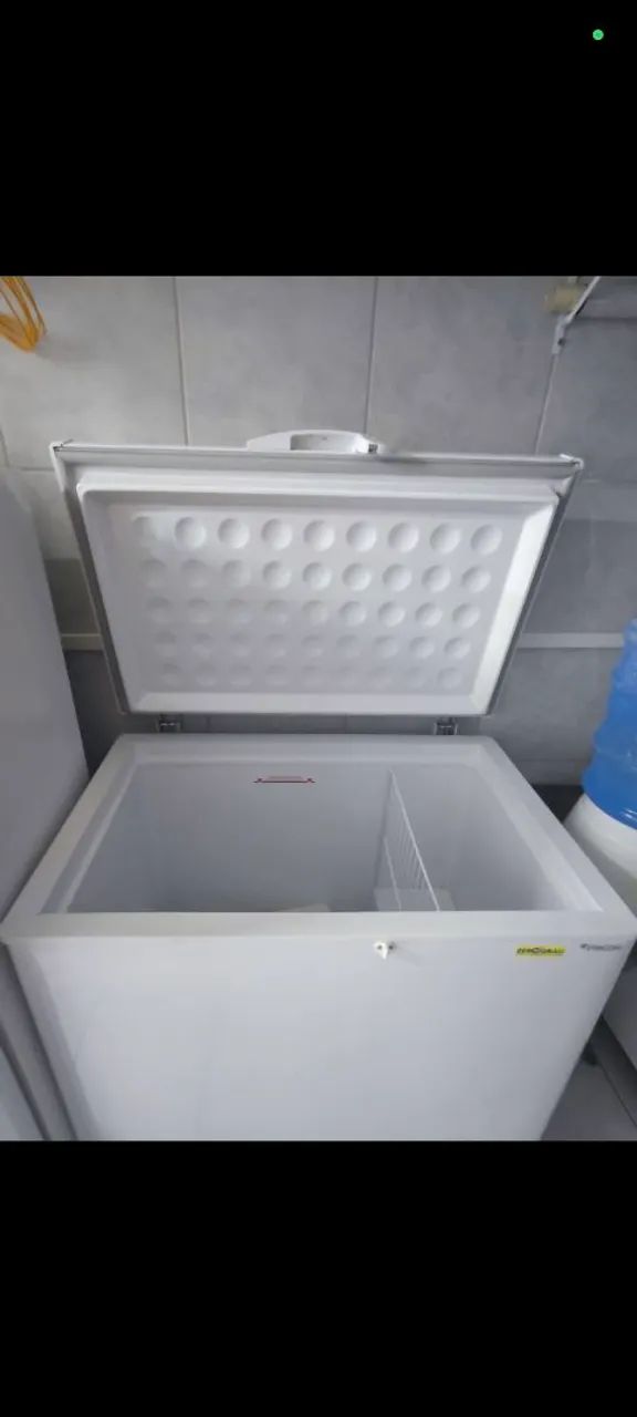 Freezer Horizontal - Ideal para Conservar Alimentos