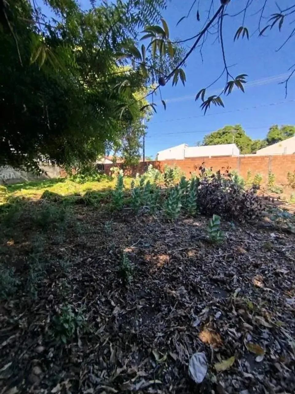 Terreno à Venda no Centro de Timon - Foto 4