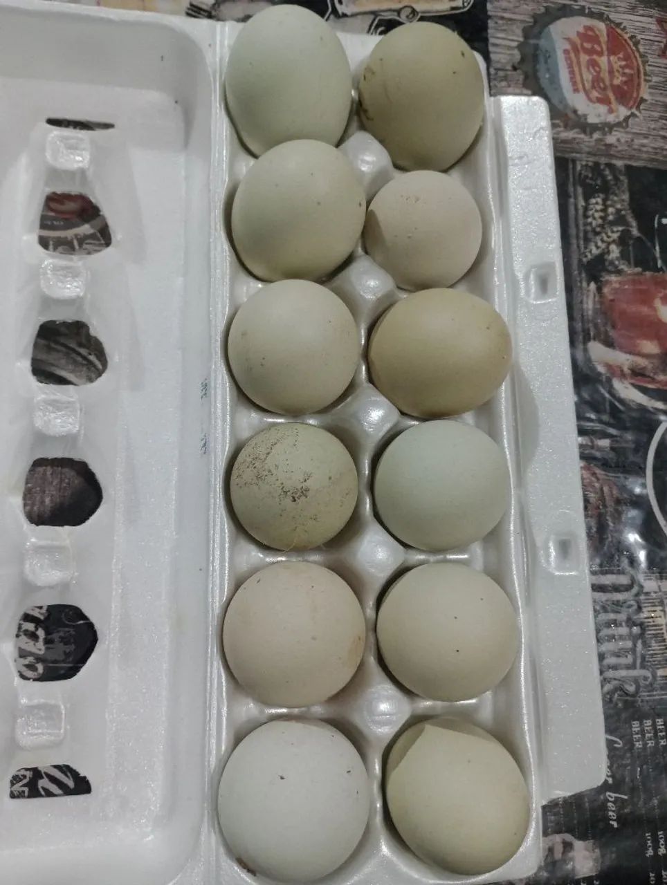 Ovos azuis selecionados