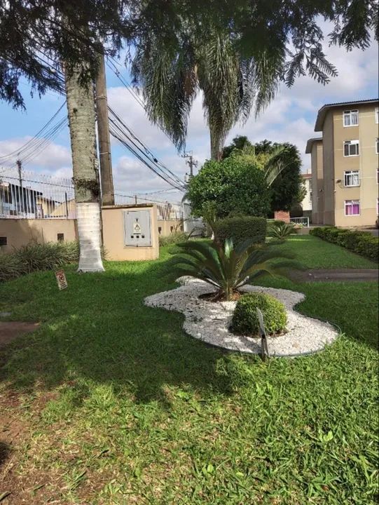 Foto - Curitiba - Fazendinha
