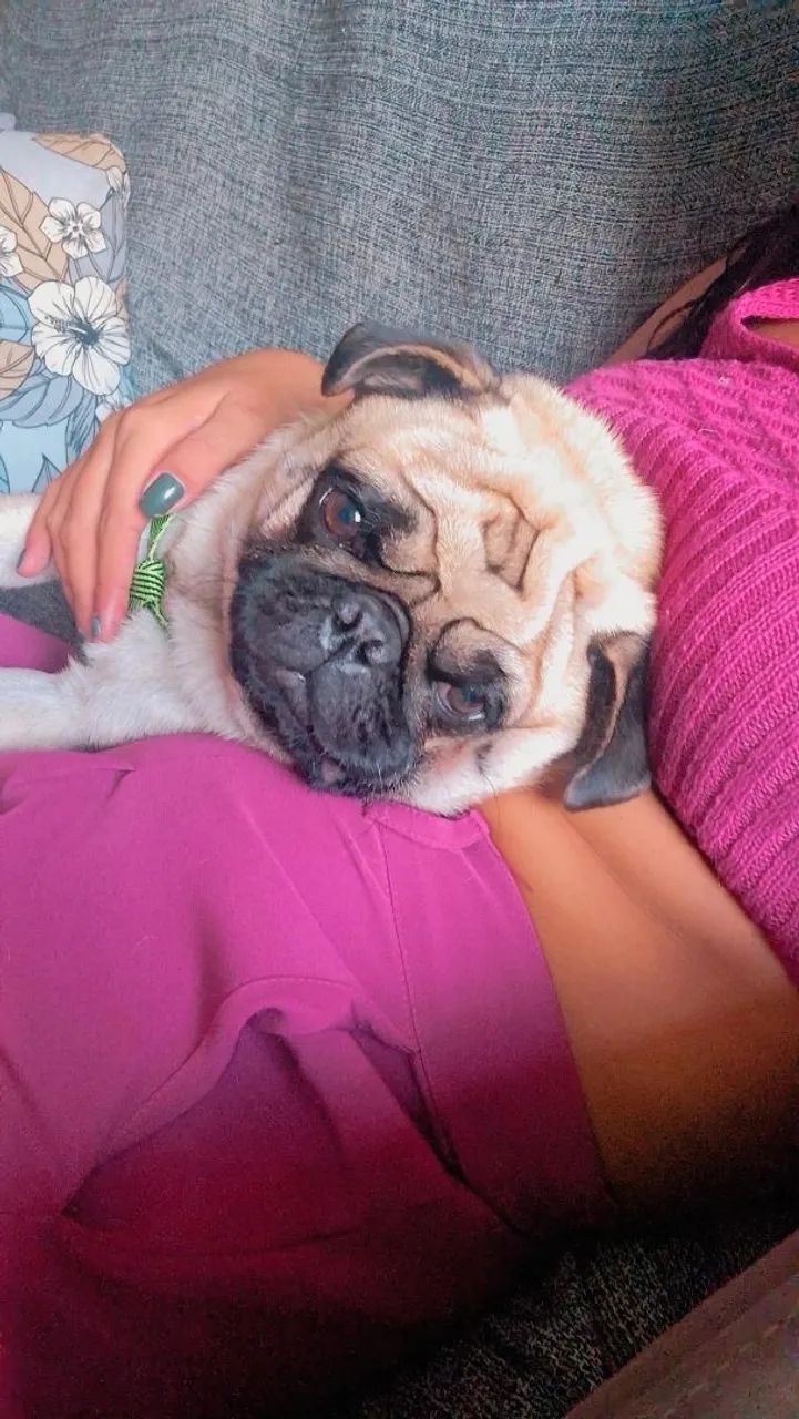 Dividi aluguel procurando, somente mulheres  - Foto 3