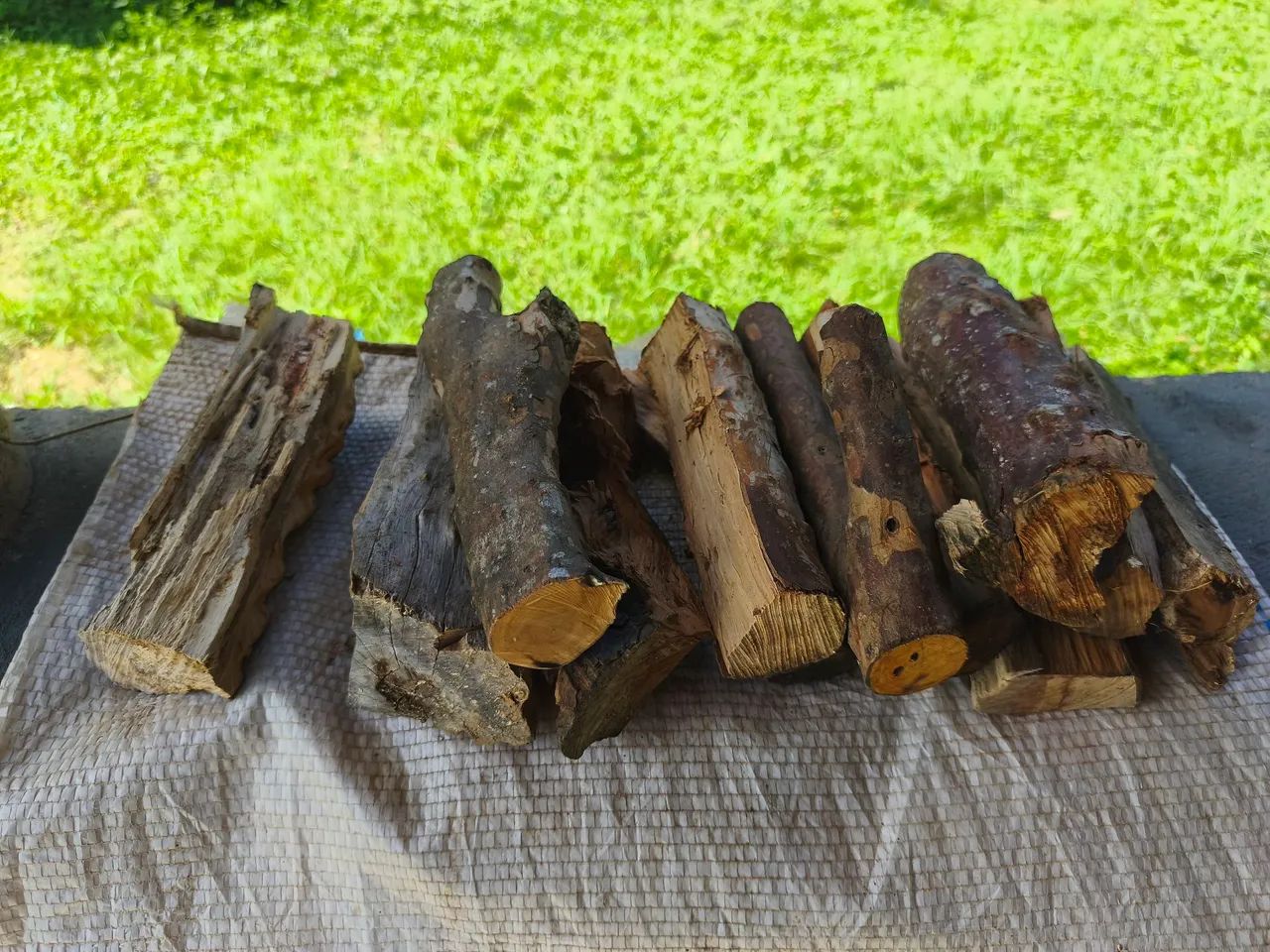 Lenha Frutífera de Jaboticaba para churrasco, defumação e parrilha - Foto 6