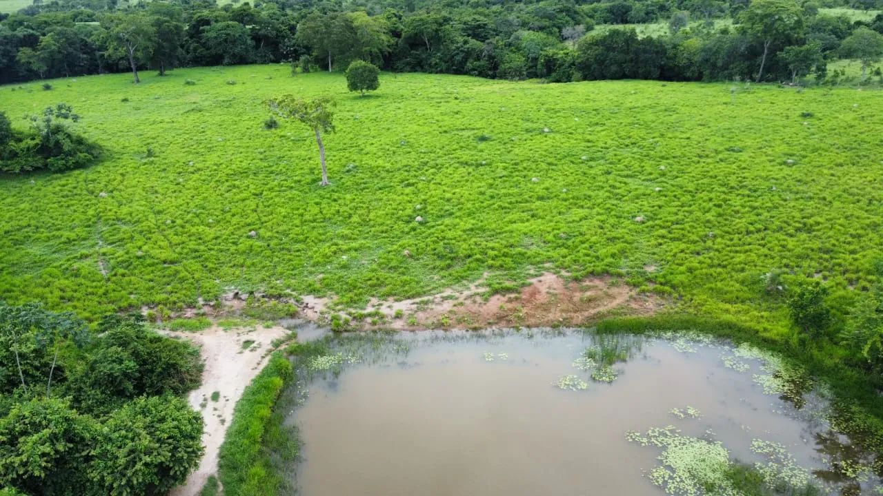 Fazenda - Faina - Foto 2