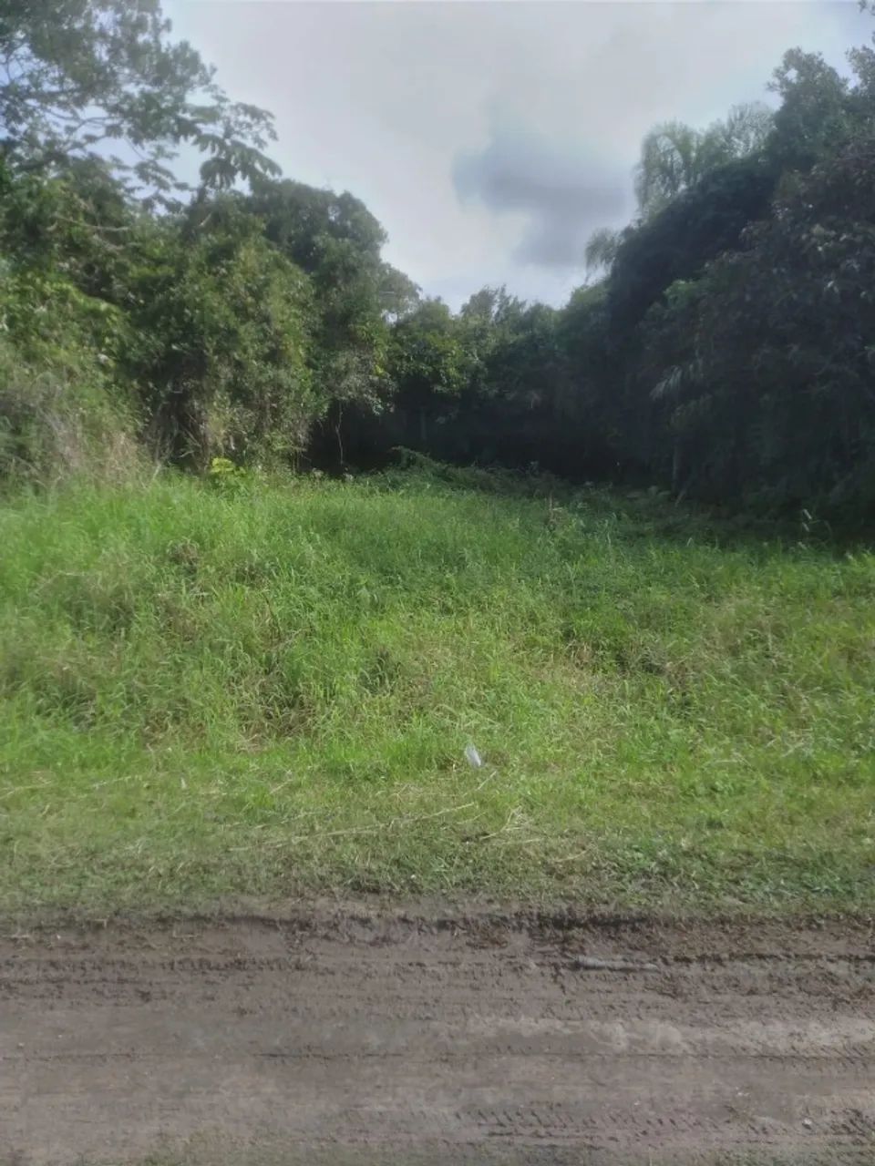 Terreno na Ilha Comprida 250m2 - Foto 2