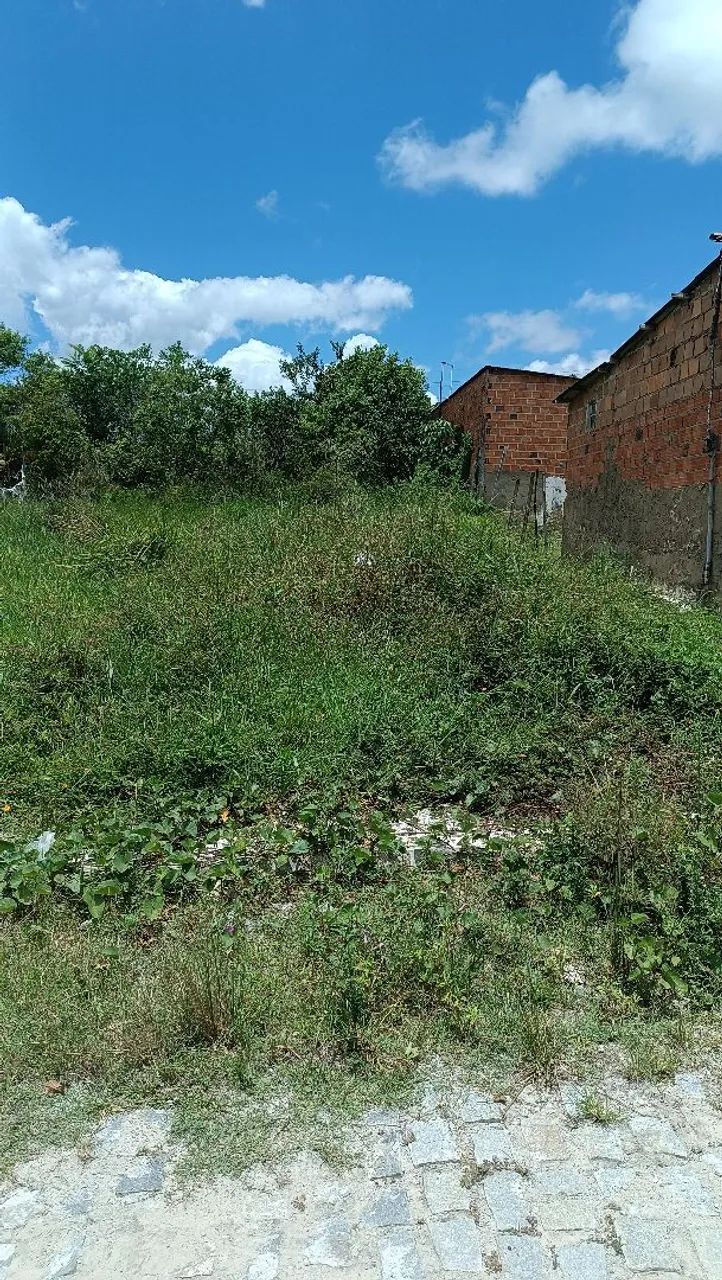 Vendo terreno, ou troco por algo do meu interesse  - Foto 2