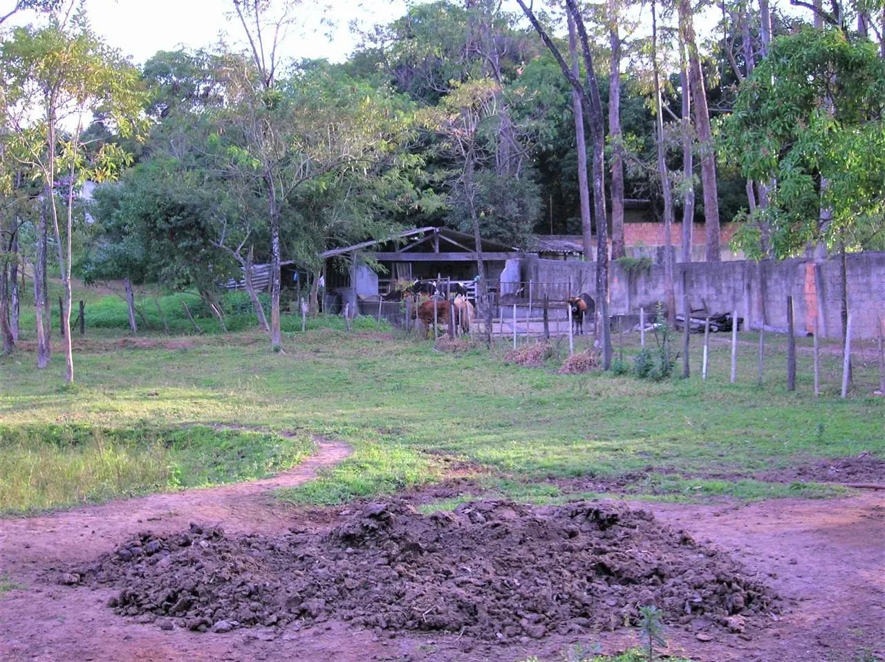 Braúnas  Terreno com 4.000 m2 com projeto aprovado - Foto 2