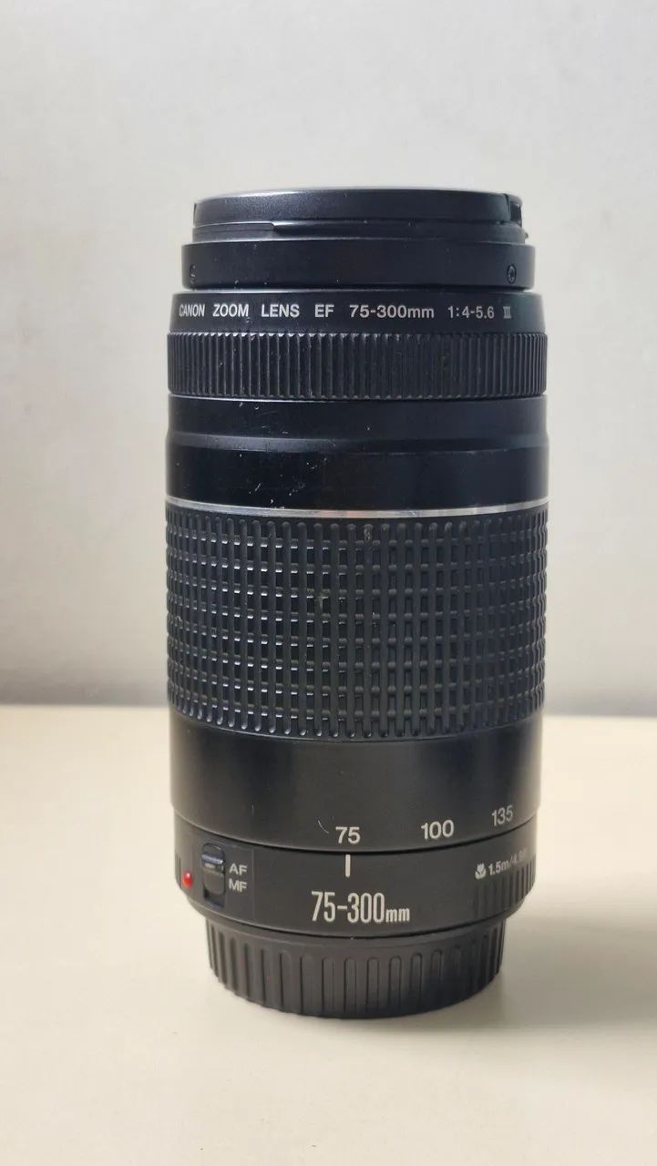 Lente canon 70-300 5.6 ultrassônic