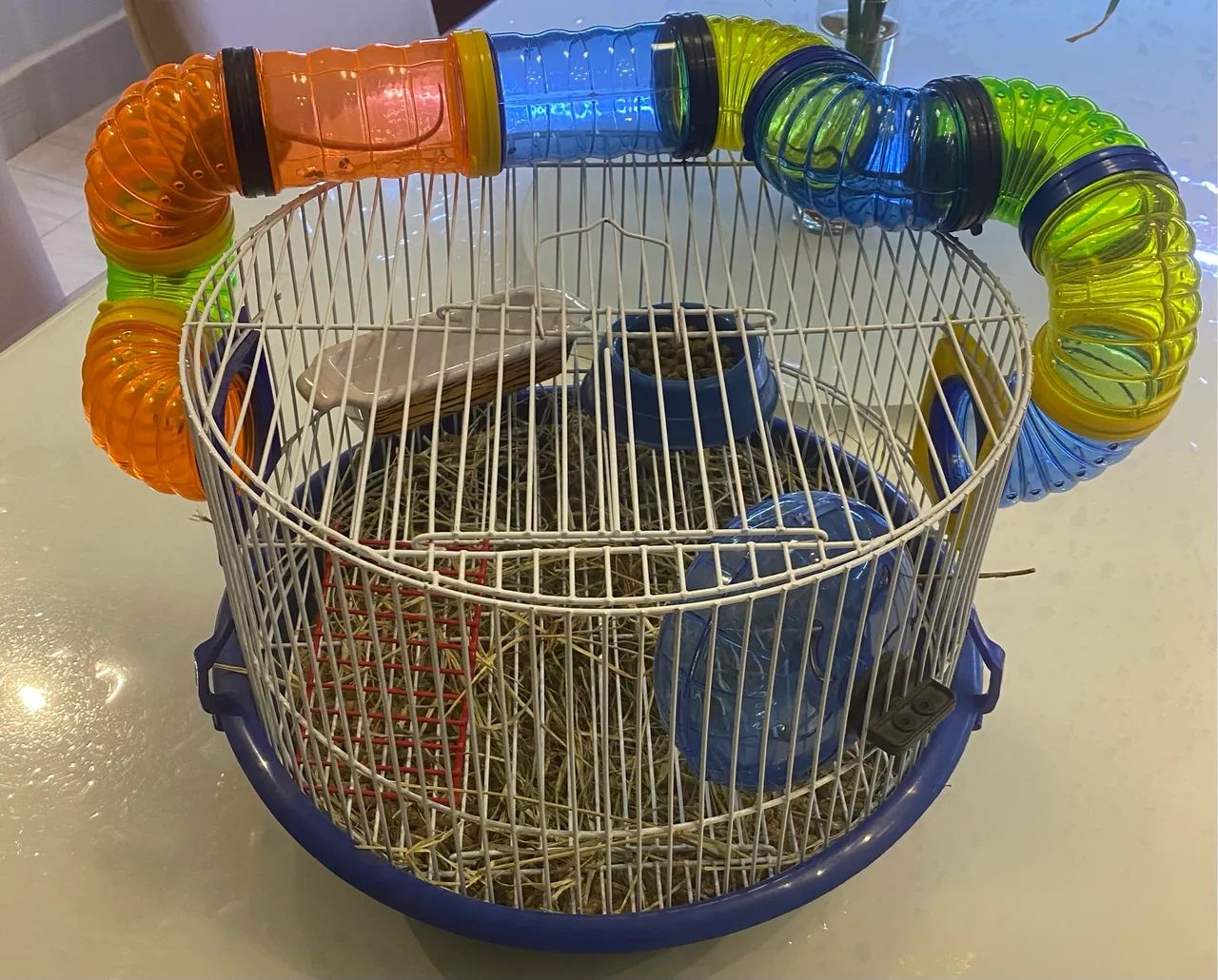 Casa de hamster completa junto a dois camundongos