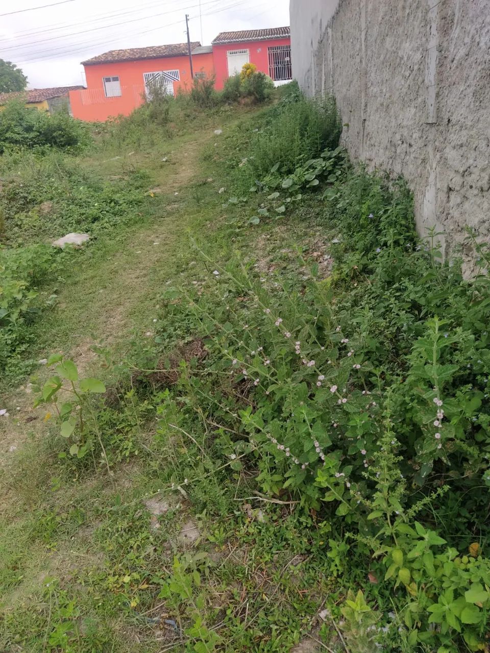 Vendo ou troco  - Foto 2