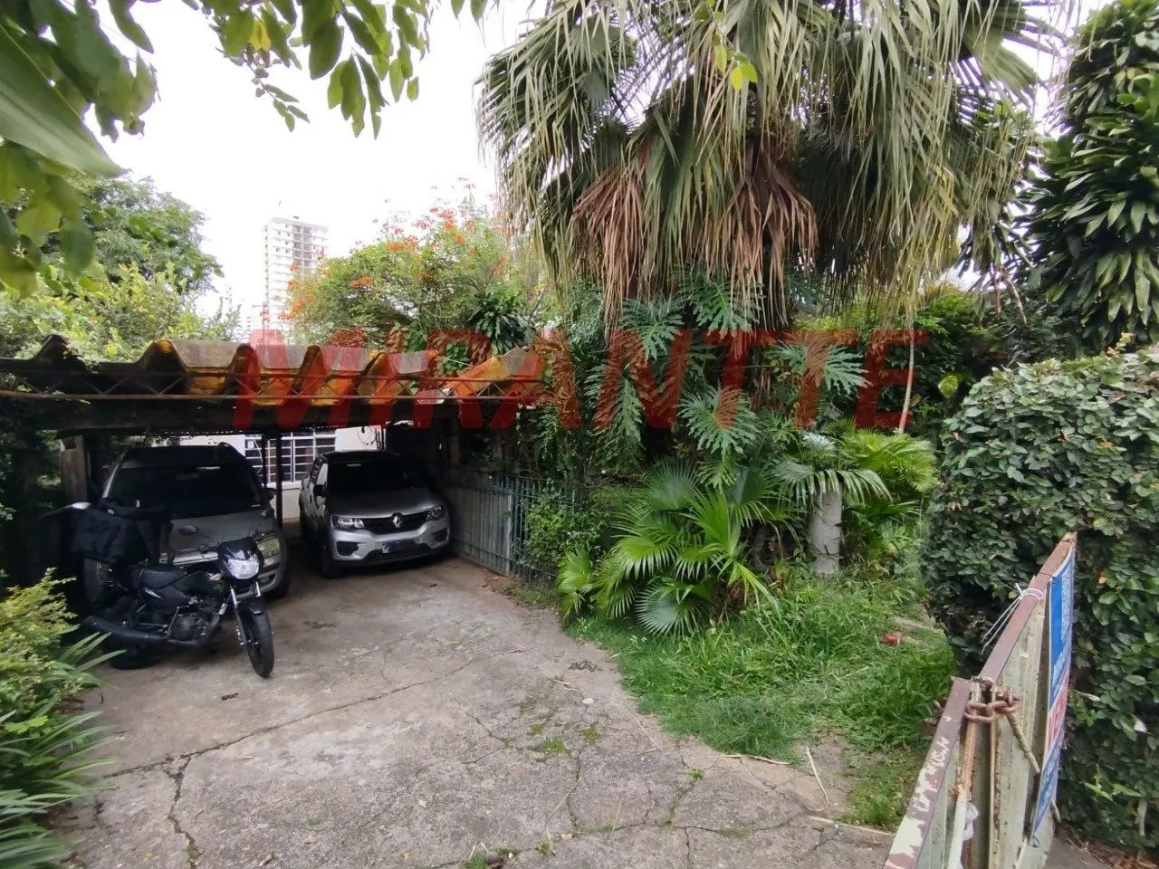 Terreno em Água Fria - Foto 5