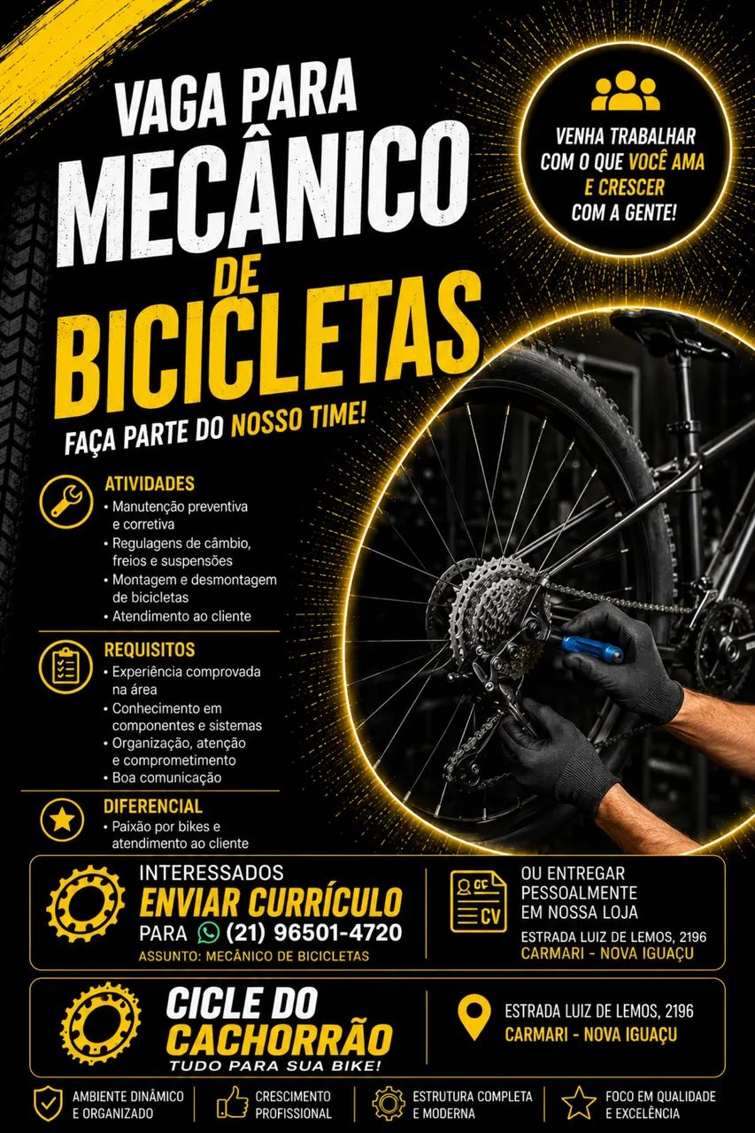 MECÂNICO DE BICICLETAS