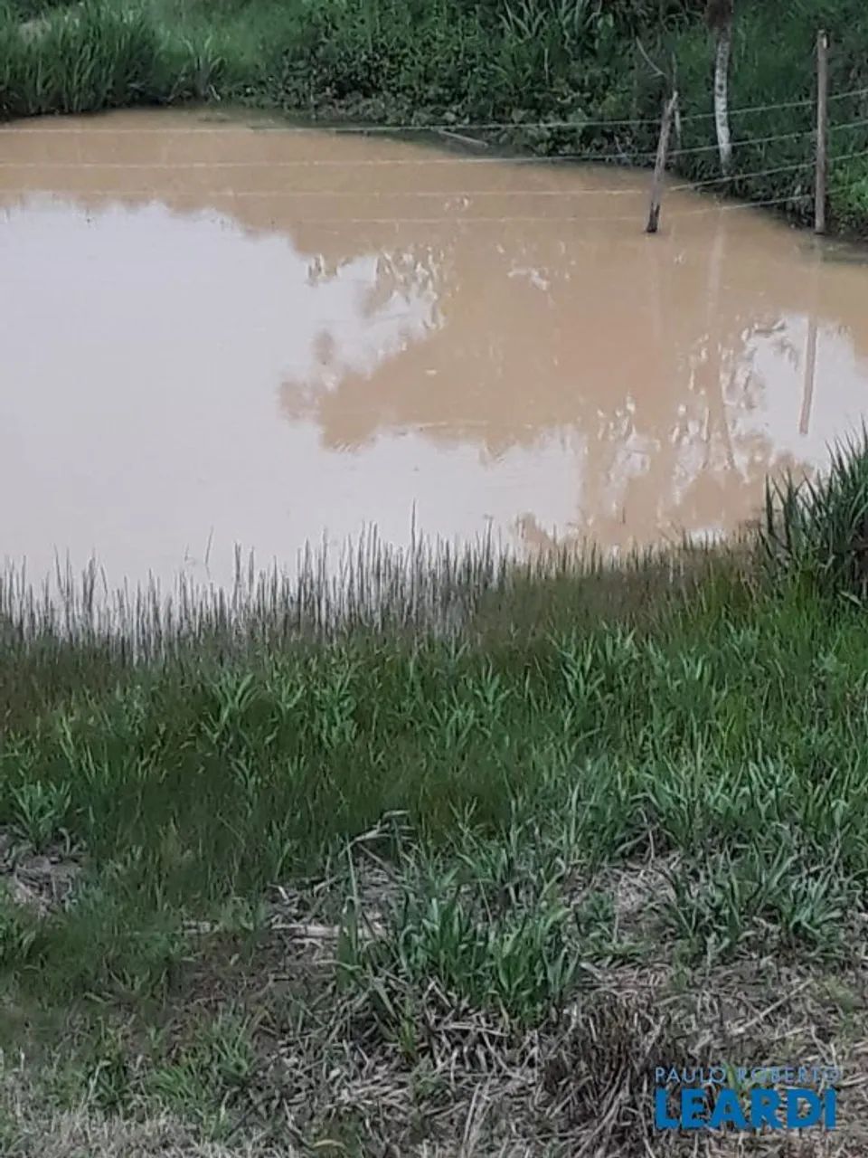 CHACARA - CHÁCARA DOS PESSEGUEIROS - MG - Foto 4