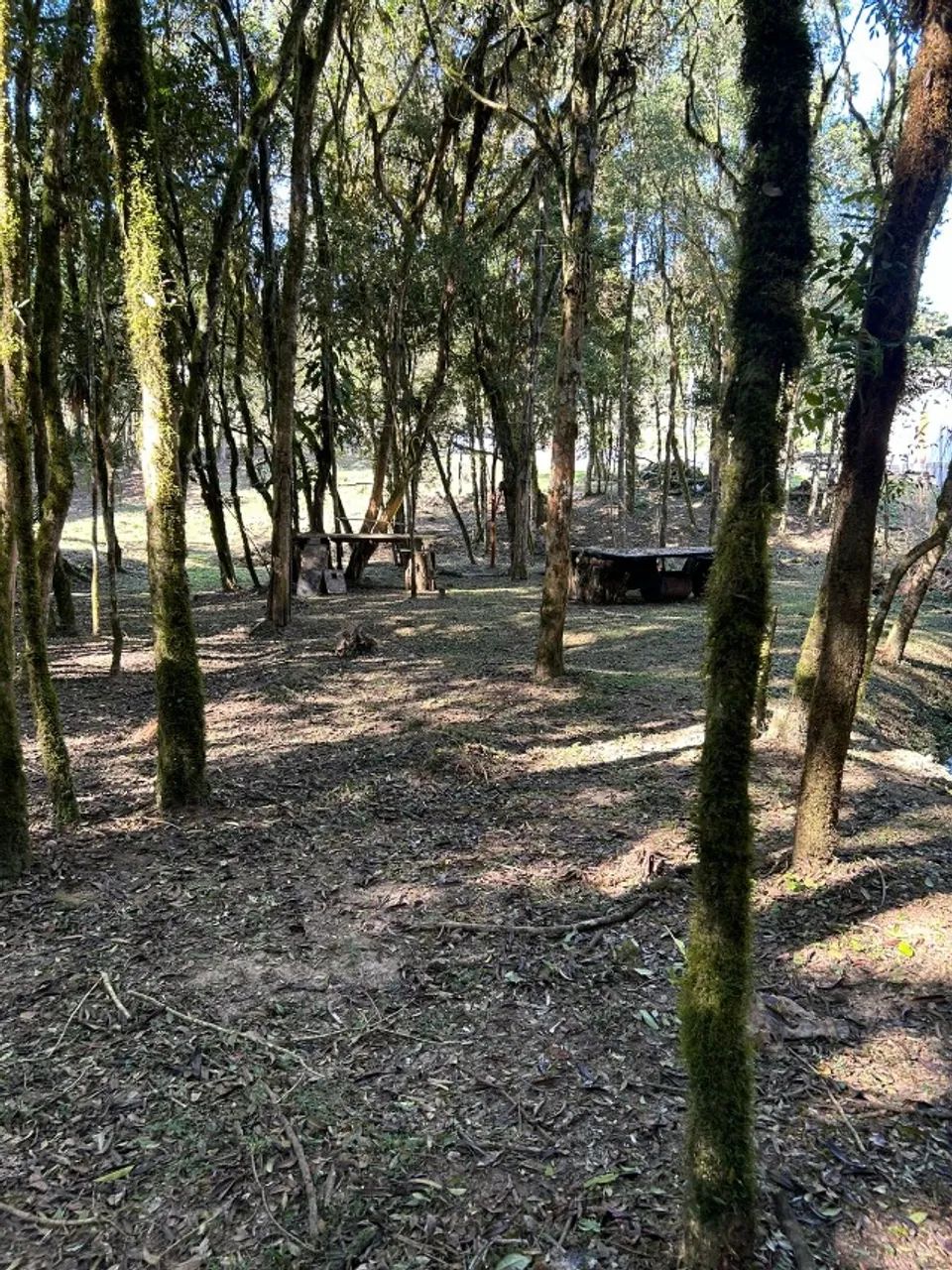 CHACARA A VENDA 5000 MT - Foto 5