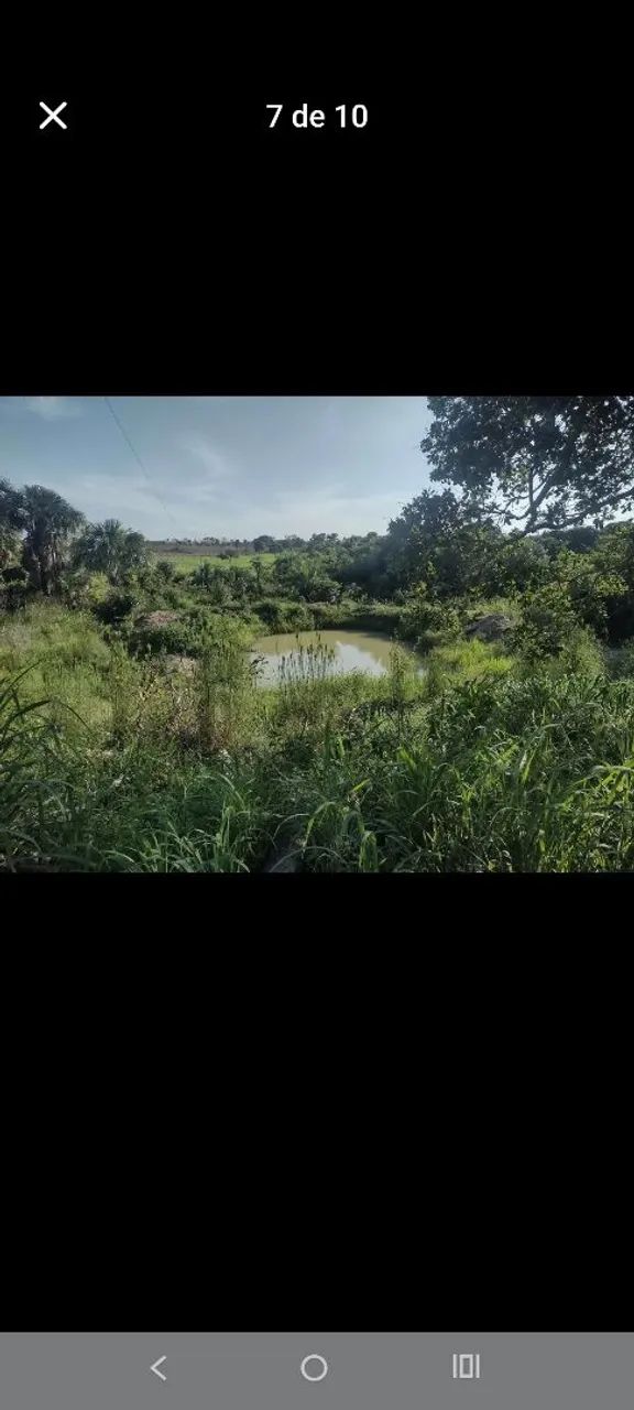 Vende-se uma 8 alqueire  - Foto 4