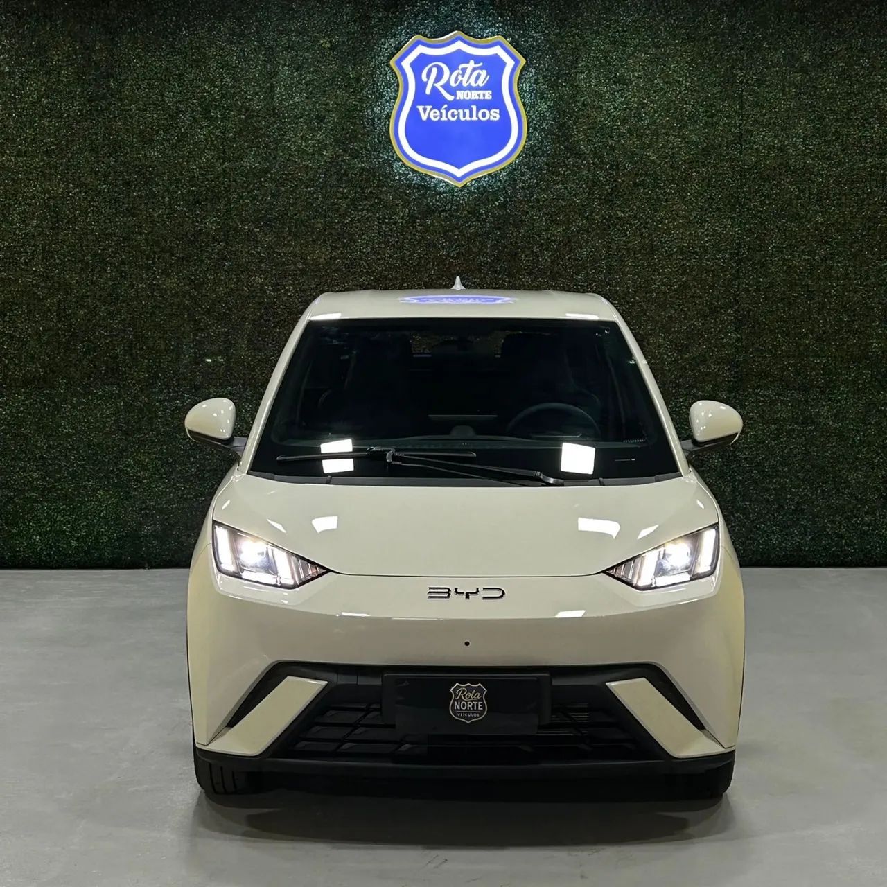BYD Dolphin Mini (Elétrico) 2027 - Foto 3