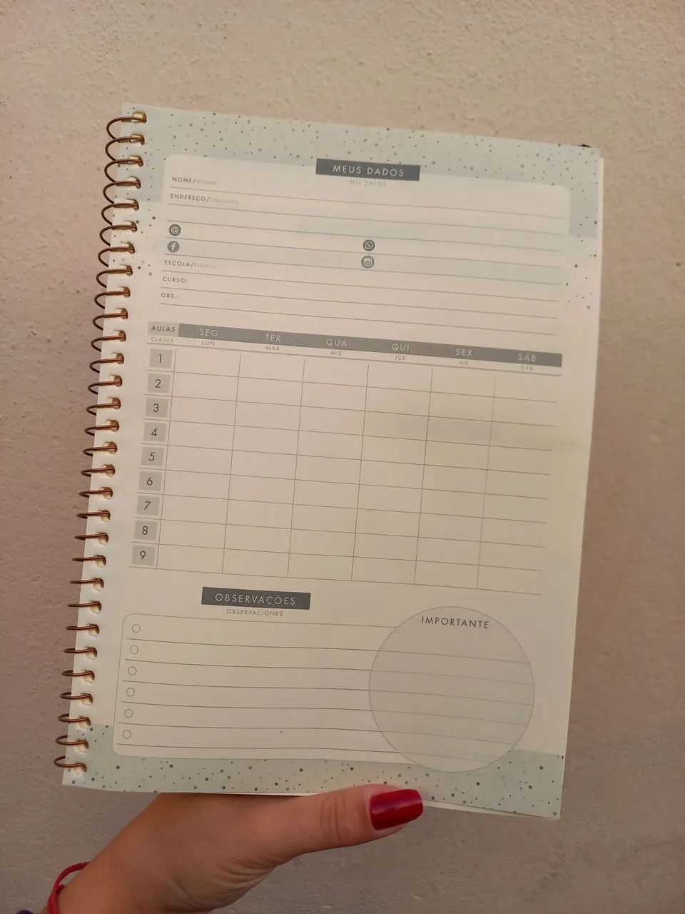 Caderno Colegial Harry Potter Jandaia - Foto 5