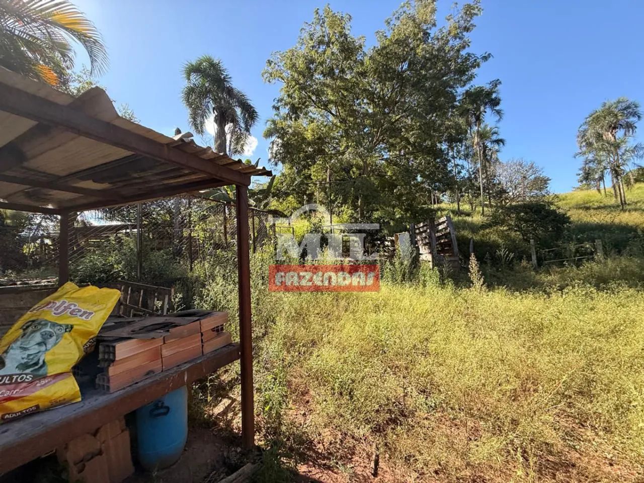 Chácara 4,38 hectares Nerópolis - GO - Foto 4