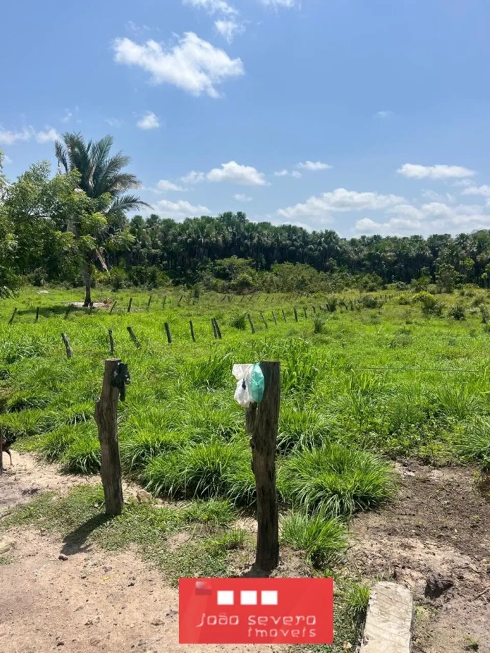 Fazenda para Venda em Afonso Cunha