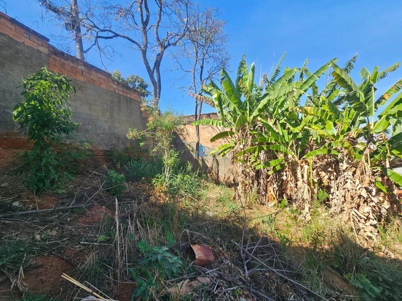 LOTE 325m² BAIRRO JARDIM COMERCIARIOS BH - Foto 4