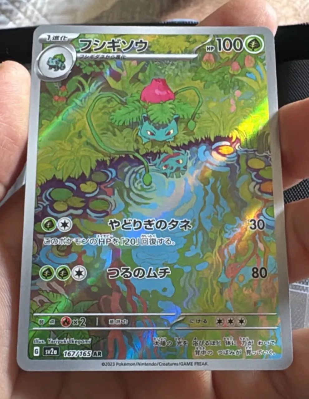 Pokemon Bulbasaur + Ivysaur  151