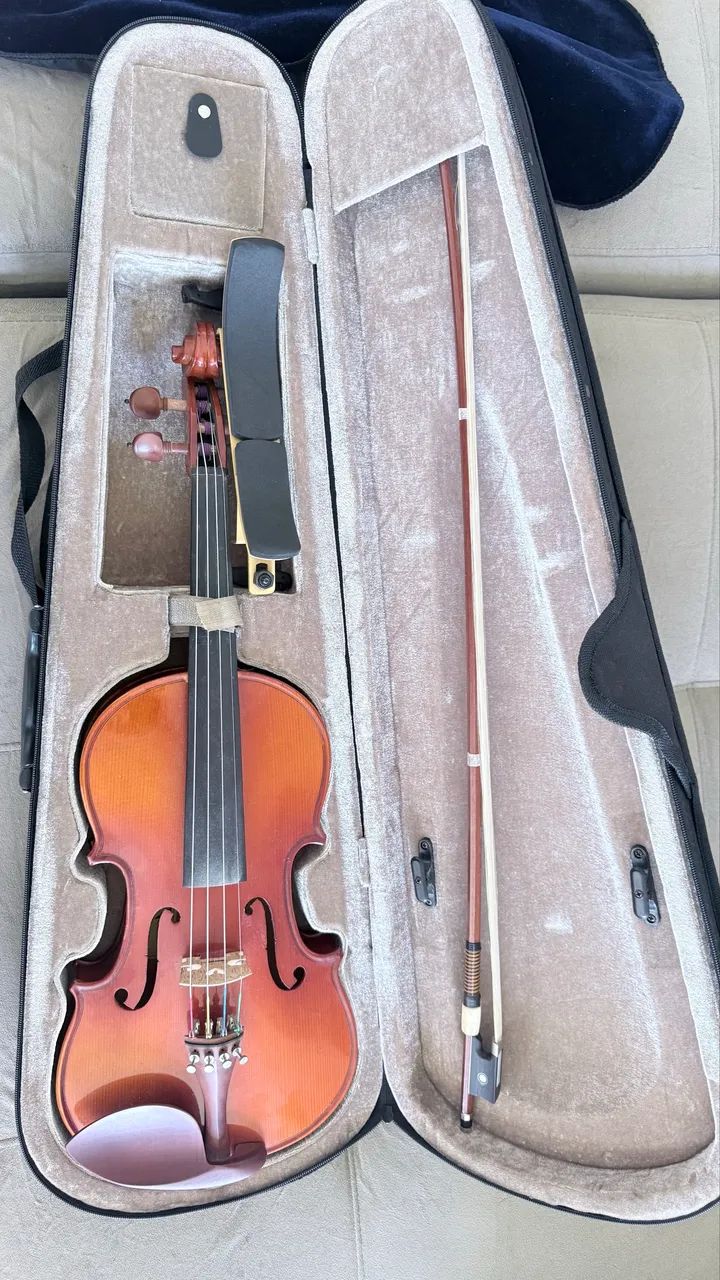 Violino 4/4 Eagle  VK - 441 