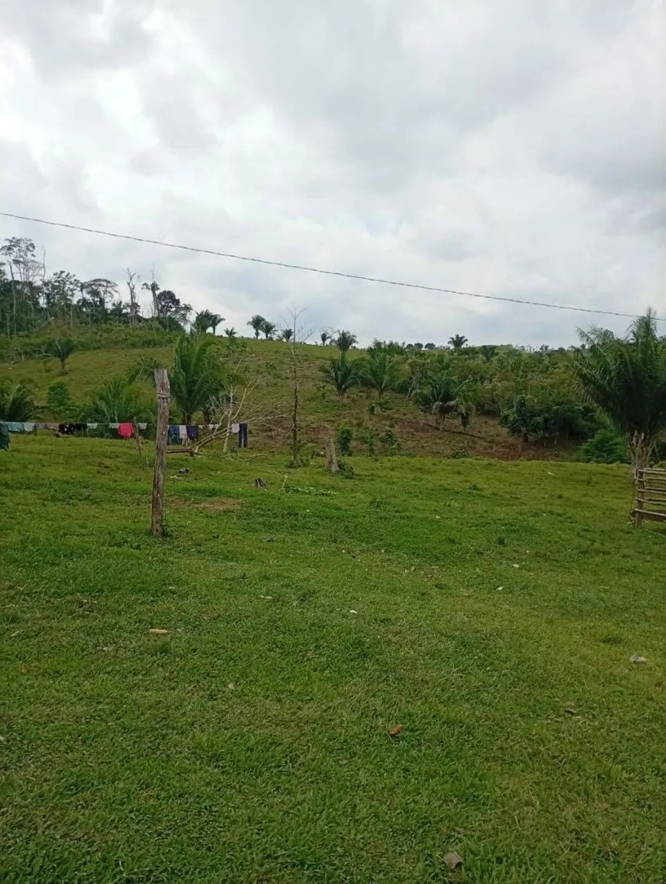 Colônia  - Foto 5