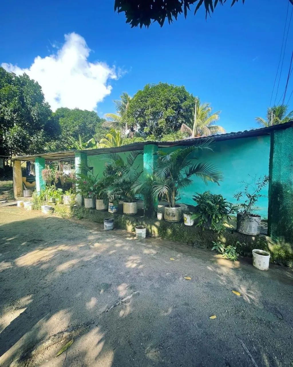 SITIO EM MURICI-AL!!
