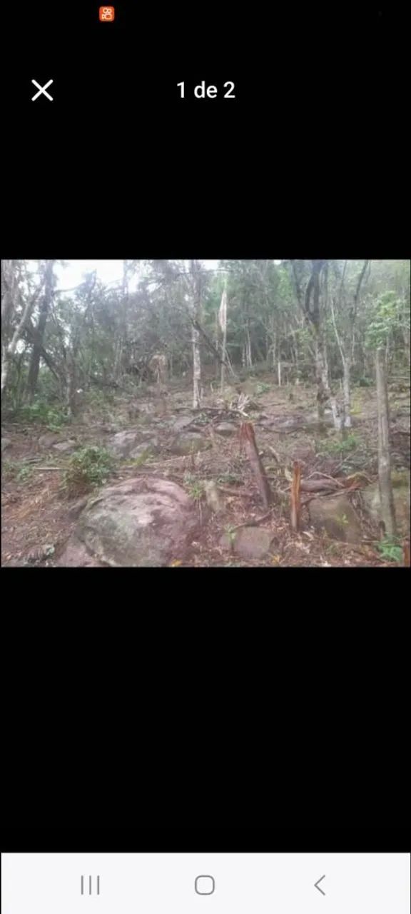Terreno  na costeira  - Foto 2